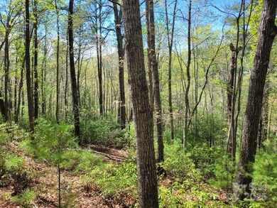 Lot 21 Little Fox Run, North Cove, NC 28752 - photo 4