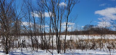 ON Price Polar Rd unit 20 Acres, Bryant, WI 54418 - photo 5