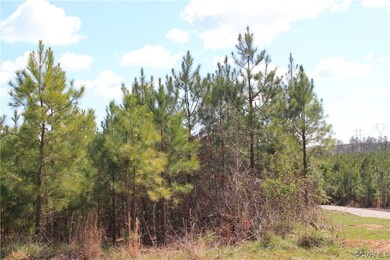 2040 State Route 635, Powhatan, VA 23139 - photo 2