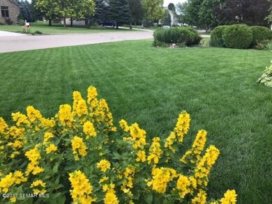 Beautiful landscaping