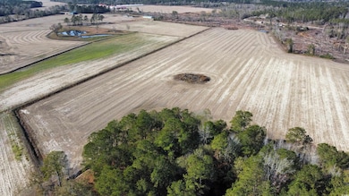 TBD Shelley Ln, Nichols, SC 29581 - photo 3