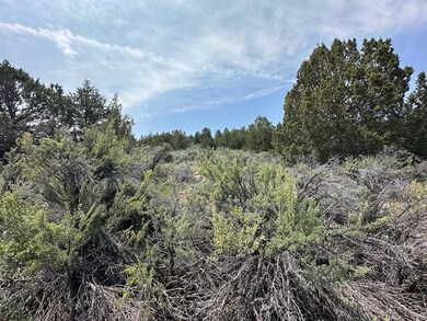IMG_8400
