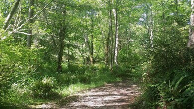 9910 Steffensen Rd, Anderson Island, WA 98303 - photo 2