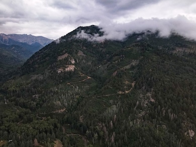 0 Tbd County Road 124, Hesperus, CO 81326 - photo 3