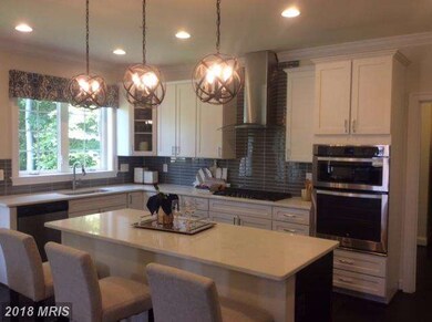 24466 Moon Glade Ct, Aldie, VA 20105 - photo 6