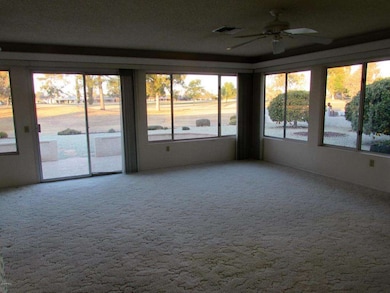 9722 W Lindgren Ave, Sun City, AZ 85373 - photo 7