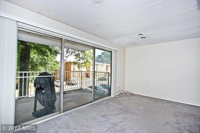 2626 Fort Farnsworth Rd unit 1B, Alexandria, VA 22303 - photo 2