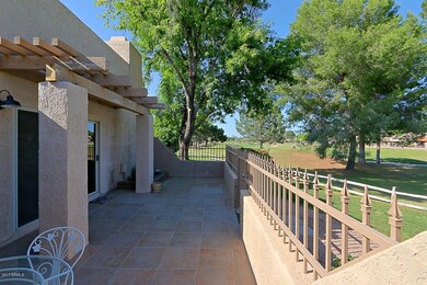 Back Patio 3