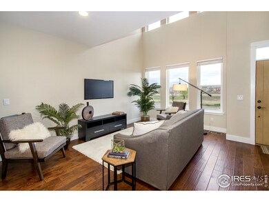 415 Osiander St, Fort Collins, CO 80524 - photo 6