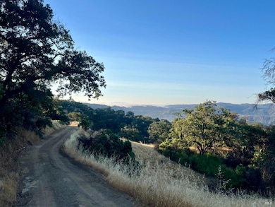 9007 Stewarts Point-Skaggs Springs Rd, Healdsburg, CA 95448 - photo 2