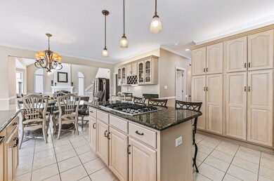 4312 Camelot Cir, Naperville, IL 60564 - photo 4