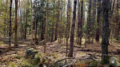 590FX Flanders Rd, Henniker, NH 03242 - photo 7