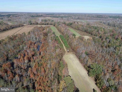 0 State Rt 125 (Tract: Cherry Island) unit NCOT2000026, Beaufort, NC 28516 - photo 5