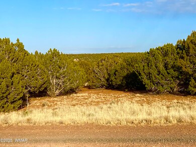 1965 Tee St, Show Low, AZ 85901 - photo 6