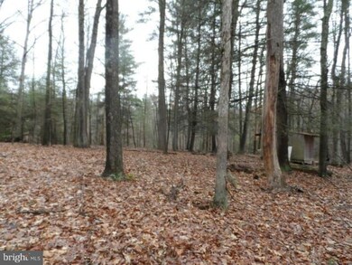 29 Silverstone Ln, Berkeley Springs, WV 25411 - photo 3