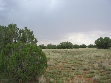 Simon 40 Acres 010
