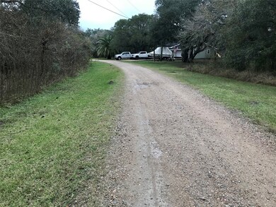 TBD Primero Dr, Brazoria, TX 77422 - photo 3