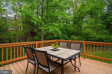 8100 Hudson Falls Way, Springfield, VA 22153 - photo 5