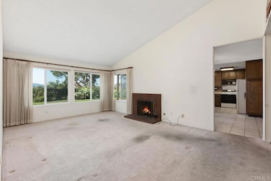 320 Calle Adela, San Marcos, CA 92069 - photo 5