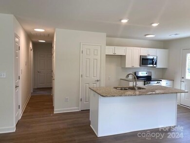 1015 Adams St, Statesville, NC 28677 - photo 6