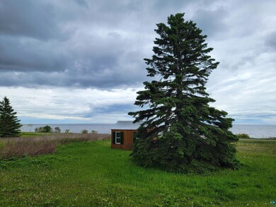View of yard with a water view and an outdoor stru