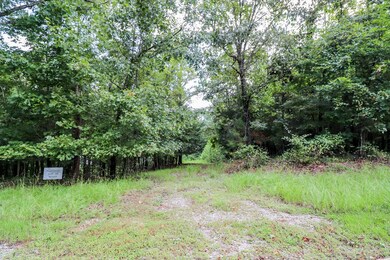 4004 Sutherland Dr, Oxford, MS 38655 - photo 4