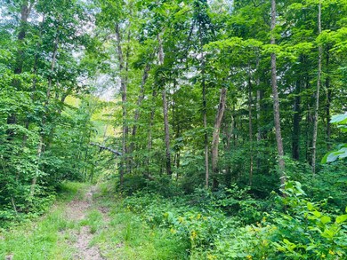 View from trail, up the hill.