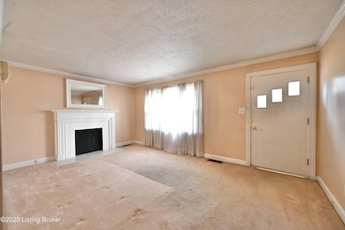 2403 Mercer Ave, Louisville, KY 40216 - photo 5