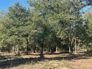 0 Newman Rd unit 7670125, Mobile, AL 36695 - photo 7