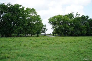 1105 Rittenour Rd, Grady, AL 36064 - photo 3