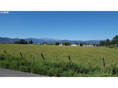 0 0 Lone Fir unit 19409627, Halfway, OR 97834 - photo 3