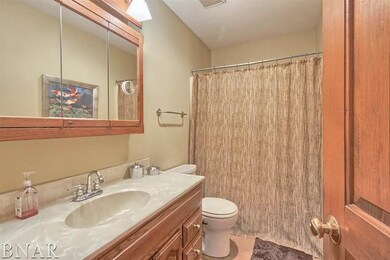 20322 Cedar Ave, Downs, IL 61736 - photo 2