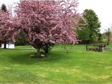 Enormous manicured back yard