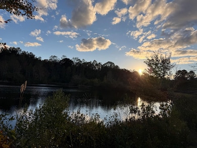 Sconyers Rd, Clio, AL 36017 - photo 2