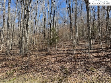 6 Meadow Ave, Banner Elk, NC 28604 - photo 6