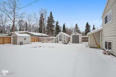 Backyard 7071-SMALL