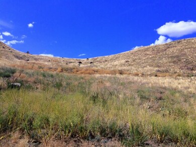 45 Lot 45 Methow River Ranch Rd, Methow, WA 98814 - photo 4