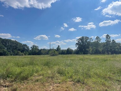 536 Lundy Rd, Sylvester, GA 31791 - photo 6