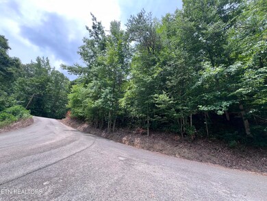 89 Branch Connector Rd, Flat Lick, KY 40935 - photo 4