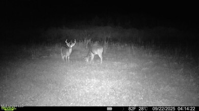 016579000831631-100-3-09222025041422-SYF