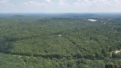 TBD Lot 2 Cactus Rd, Pittsburg, TX 75686 - photo 5