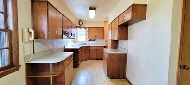 Kitchen View 1