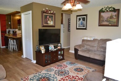 Living room open to the kitchen
