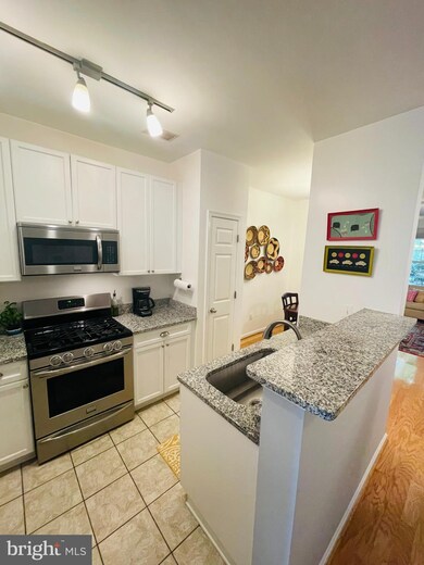 2665 Manhattan Place unit 104, Vienna, VA 22180 - photo 7