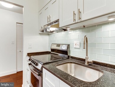 Encore of McLean unit 316, McLean, VA 22102 - photo 6