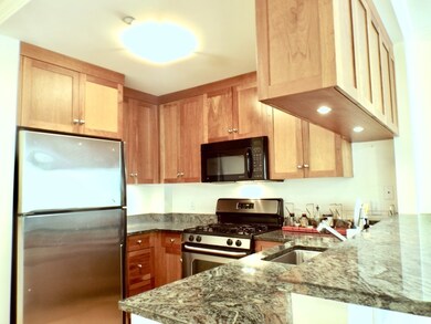 2-14 Saint Paul St unit 206, Brookline, MA 02446 - photo 3