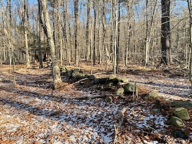 Lot 19-I W Center Rd, Otis, MA 01253 - photo 4