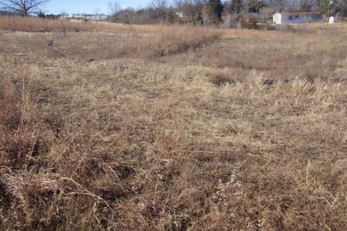 Tbd Farm Road 1240, Shell Knob, MO 65747 - photo 6