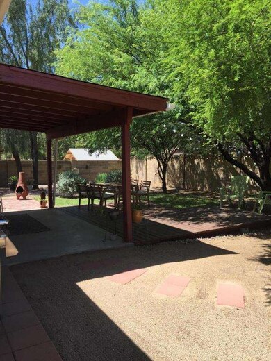 LaJollabackyard2
