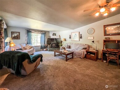 8541 Custer School Rd, Custer, WA 98240 - photo 7